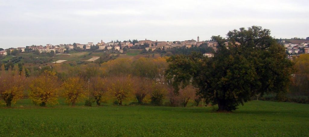 immagine The big cerqua