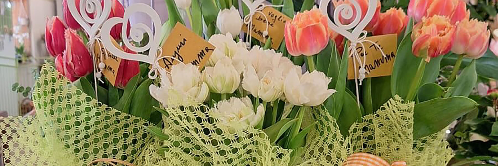 immagine I Fiori di Mary e Mascia