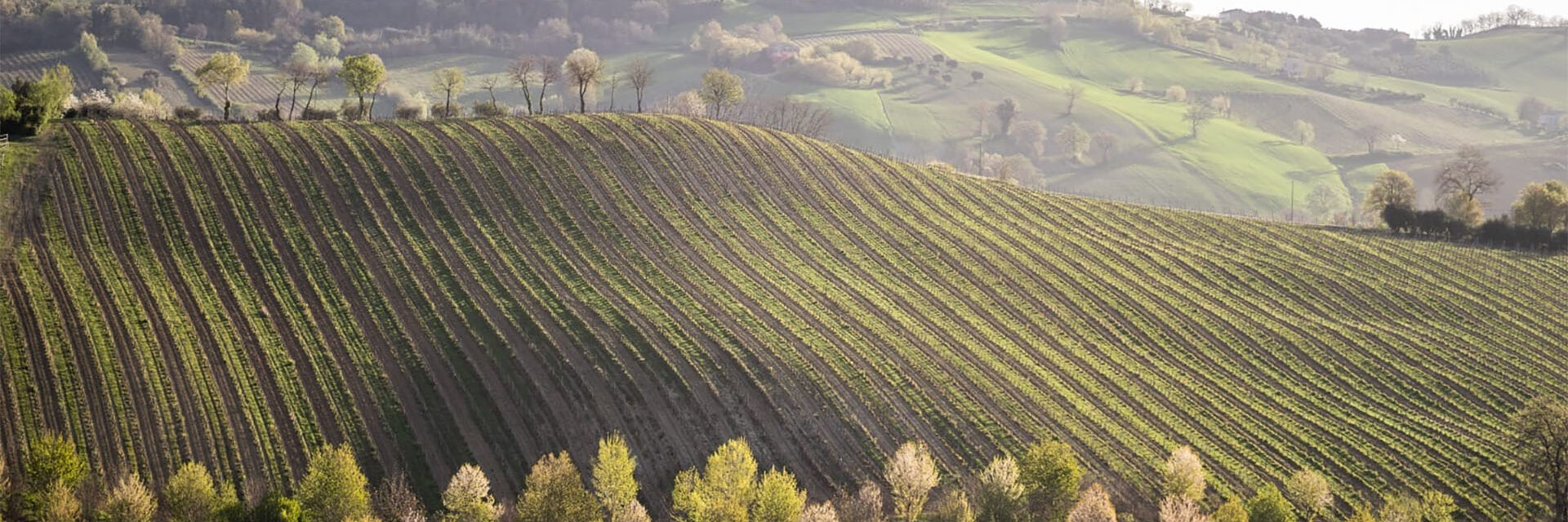immagine Boccafosca